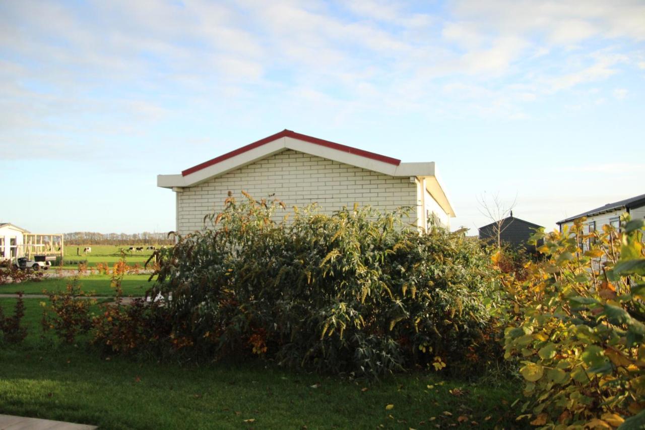 Panorama * Drijber
